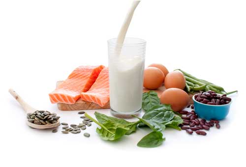 Animal protein and plant protein